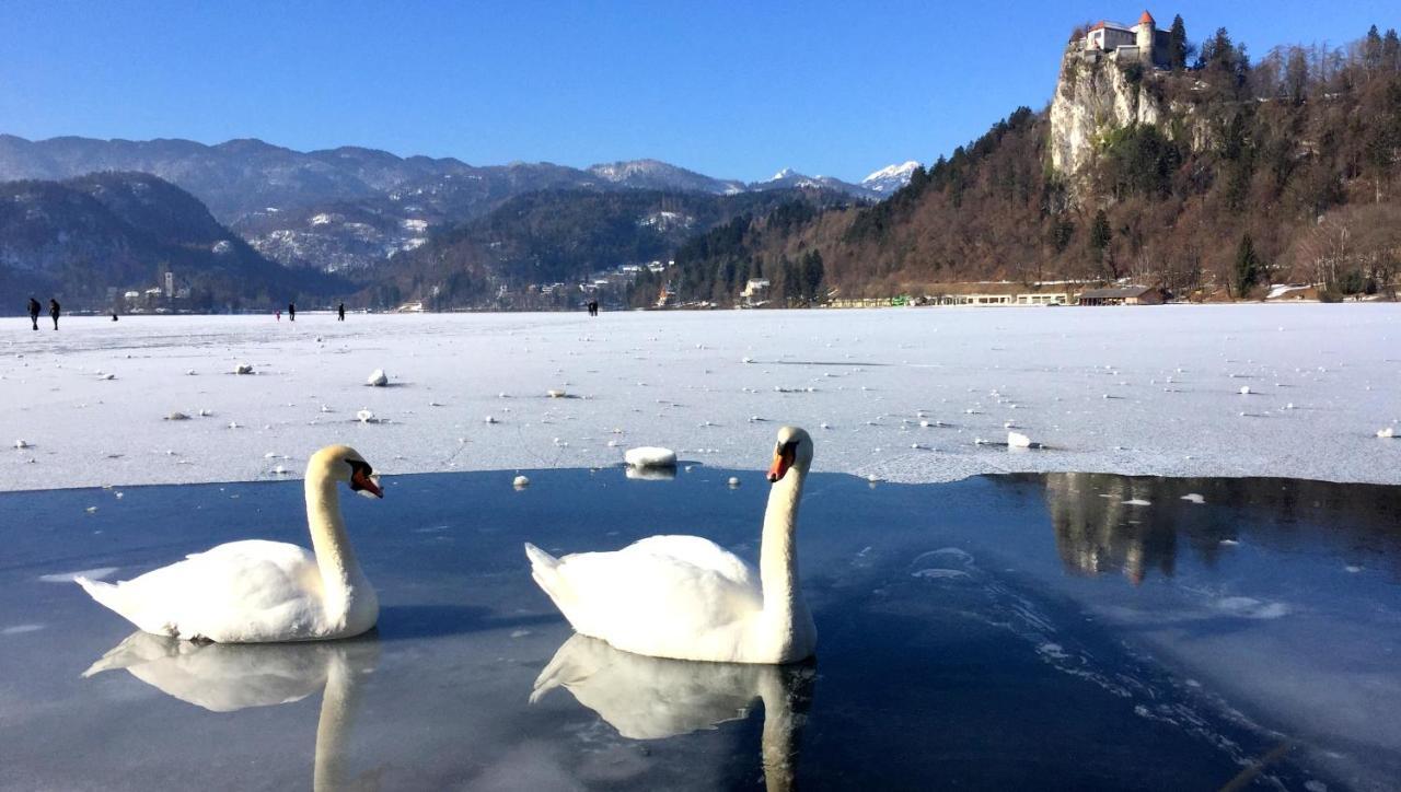 Sunset Bled Apartman Kültér fotó